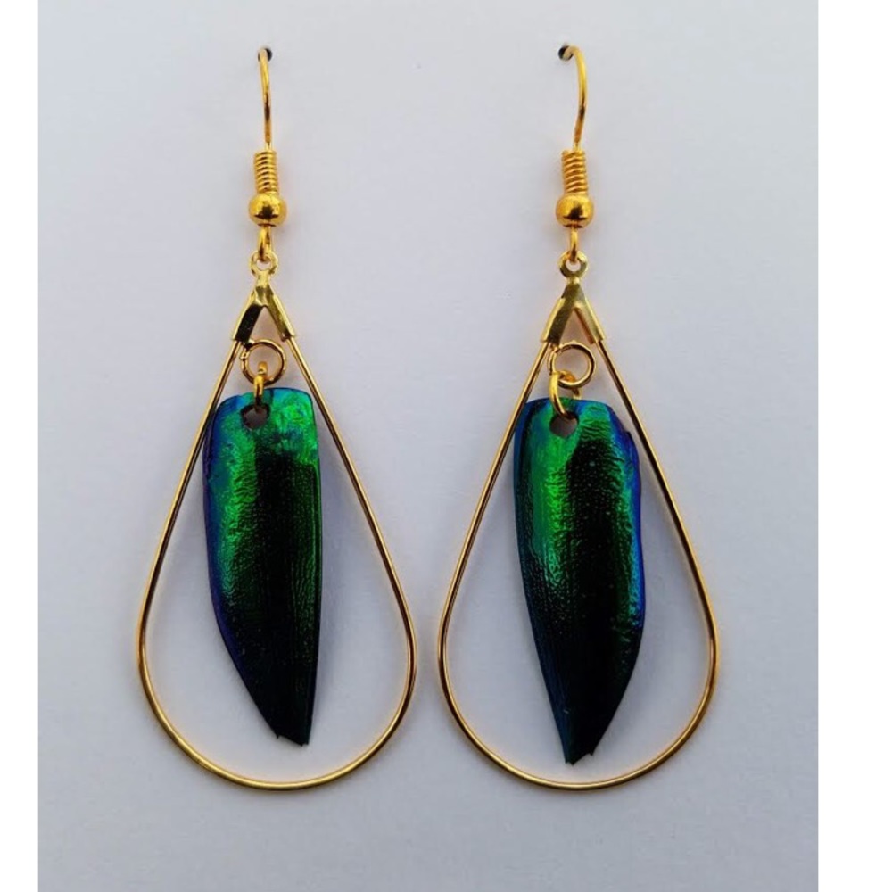 🆕 Real Beetle Wing and Gold Hoop Earrings Gift